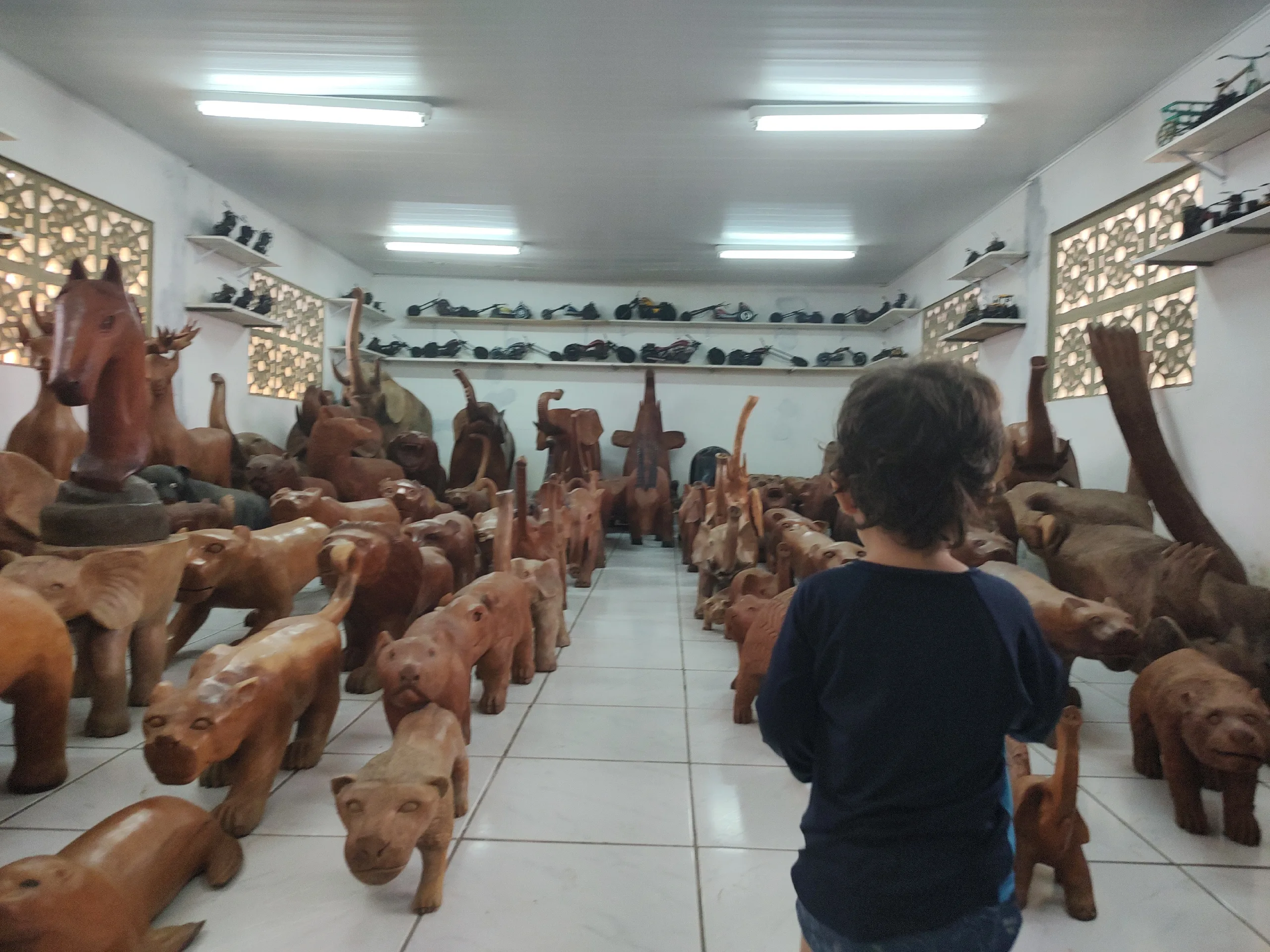 Imagem da Galeria